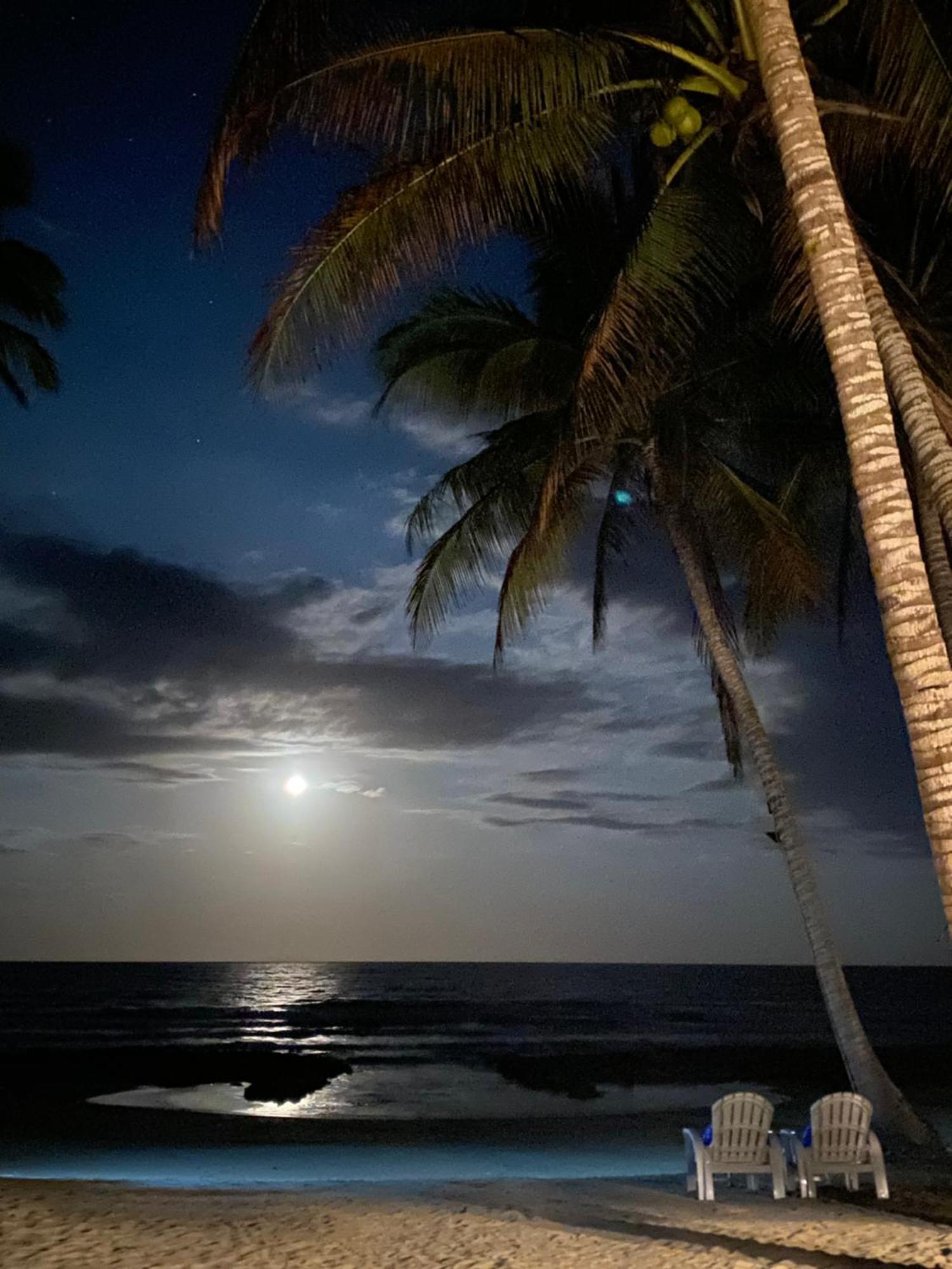 Surya Beach Resort Palawan Aborlan Dış mekan fotoğraf